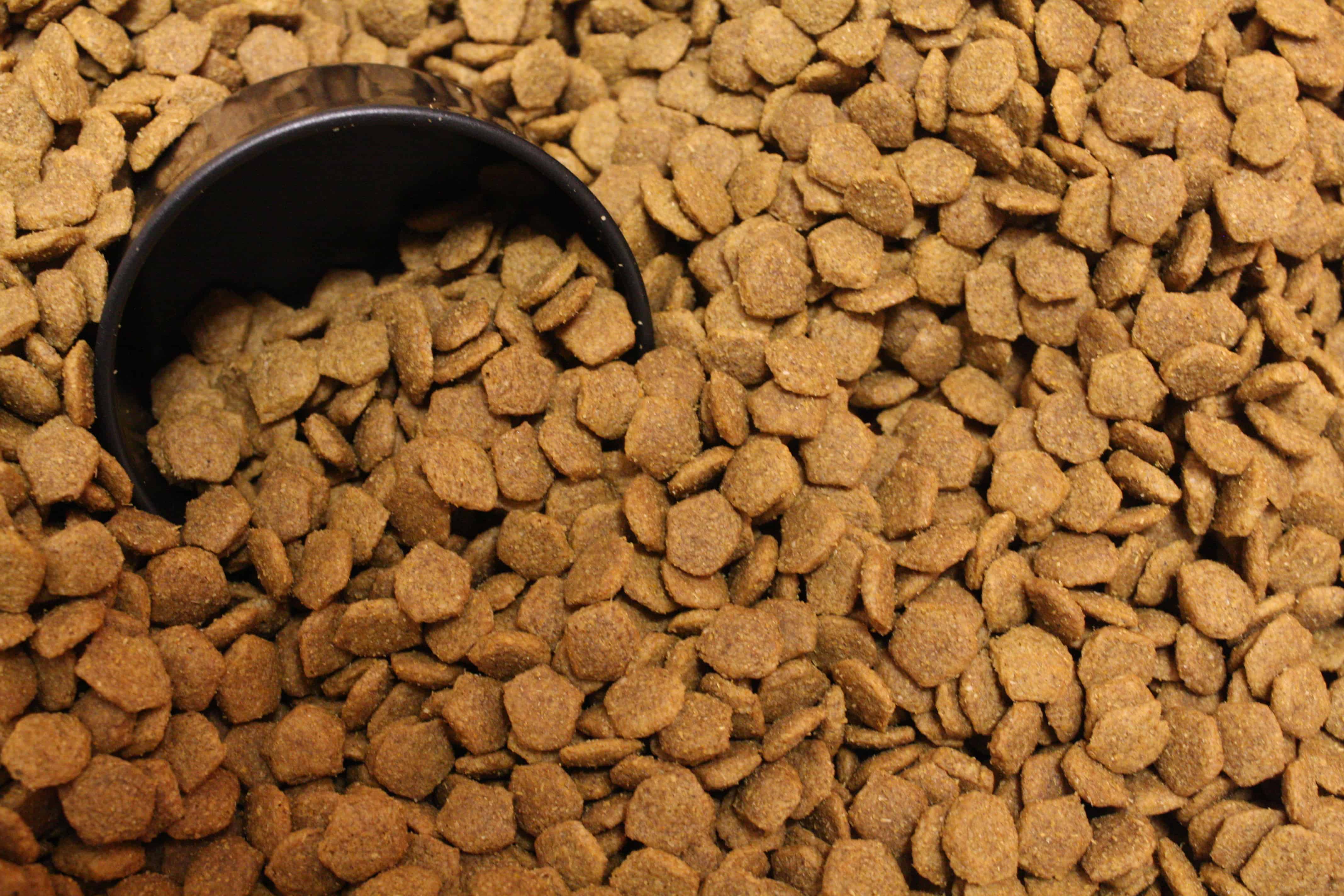 Dog food kibble