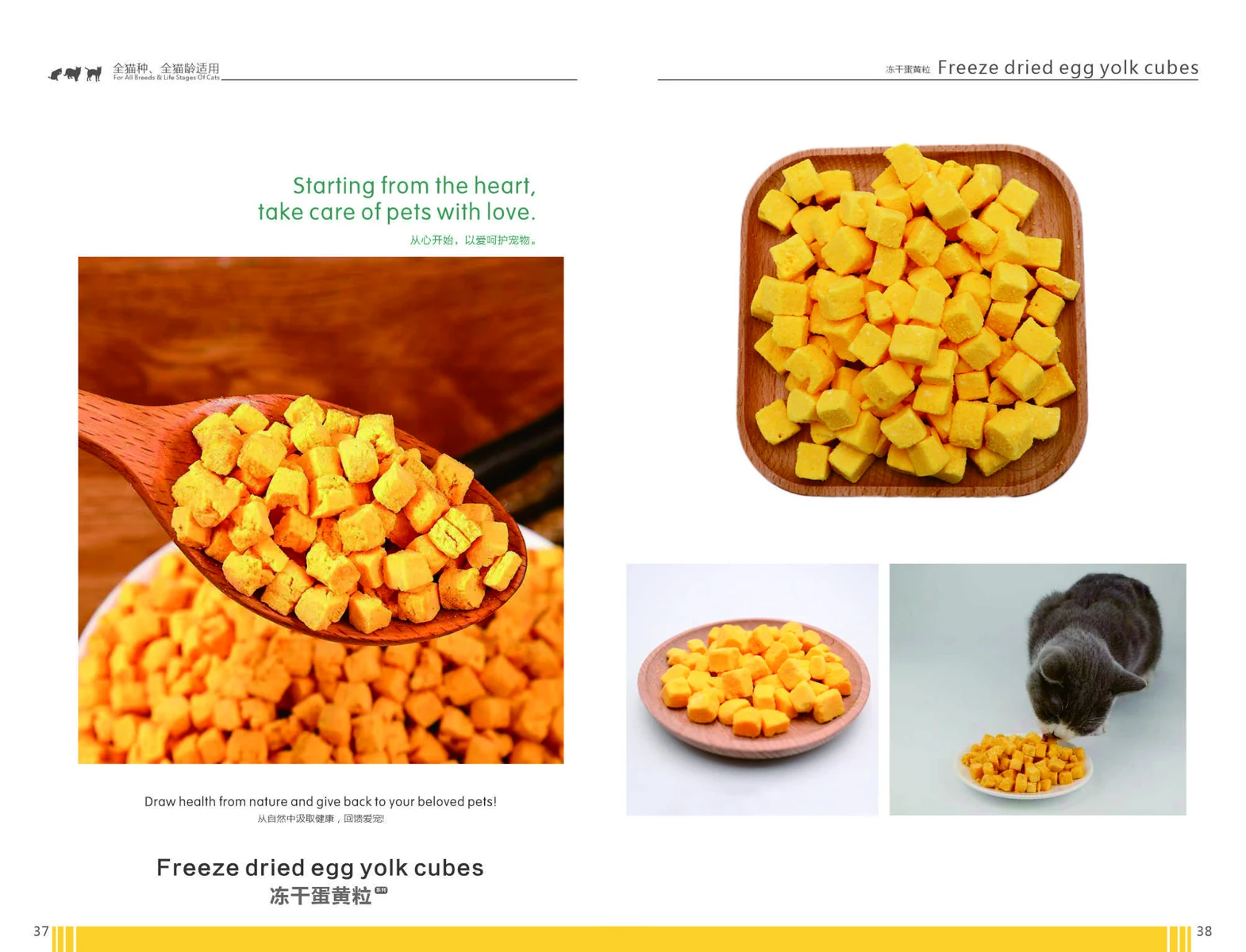 Freeze-dried egg yolk cubes catalogue page