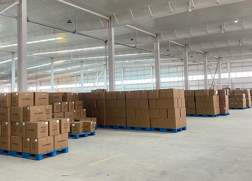 Factory warehouse and export cartons