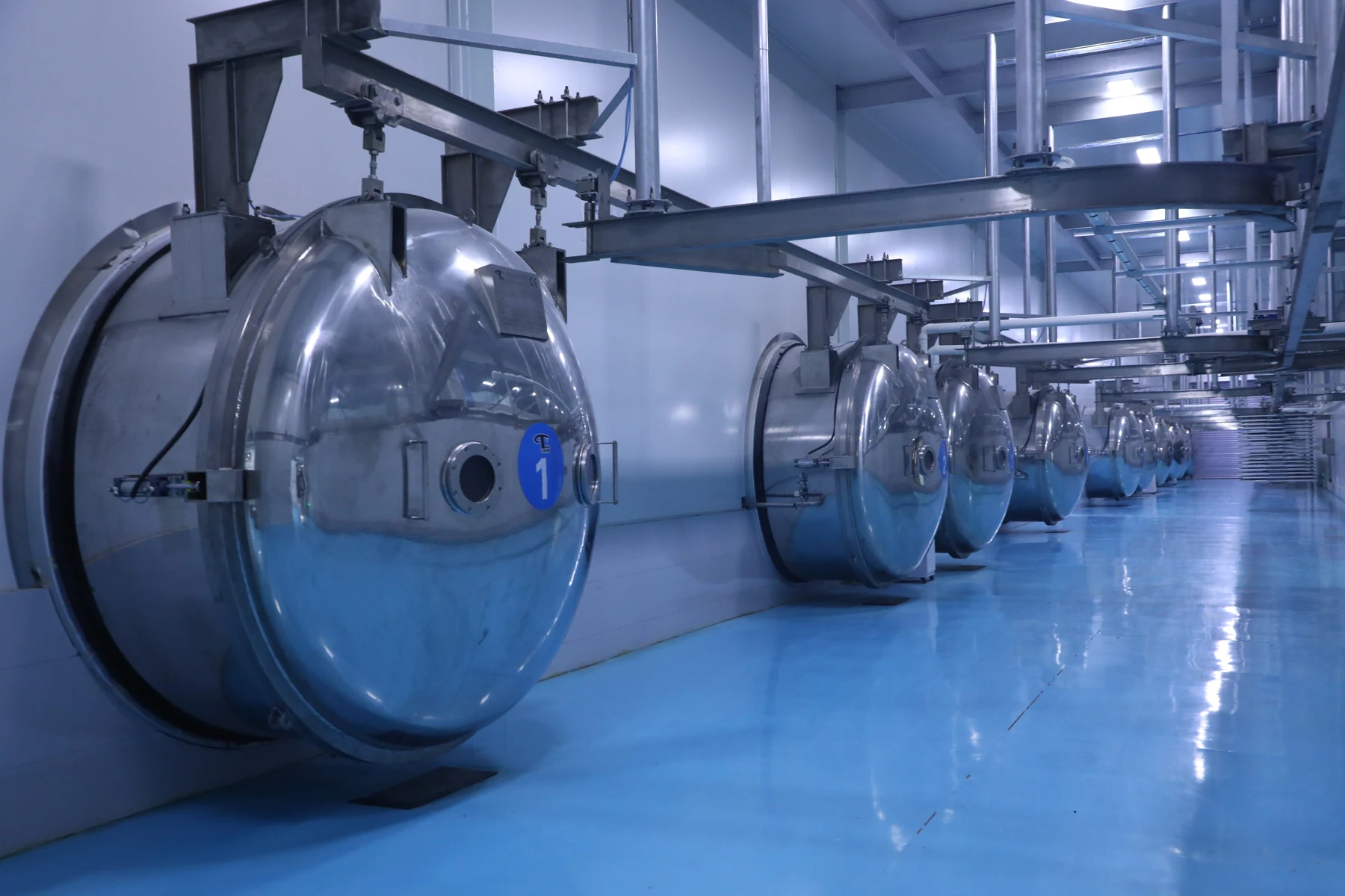 Quchong freeze-dried production equipment line